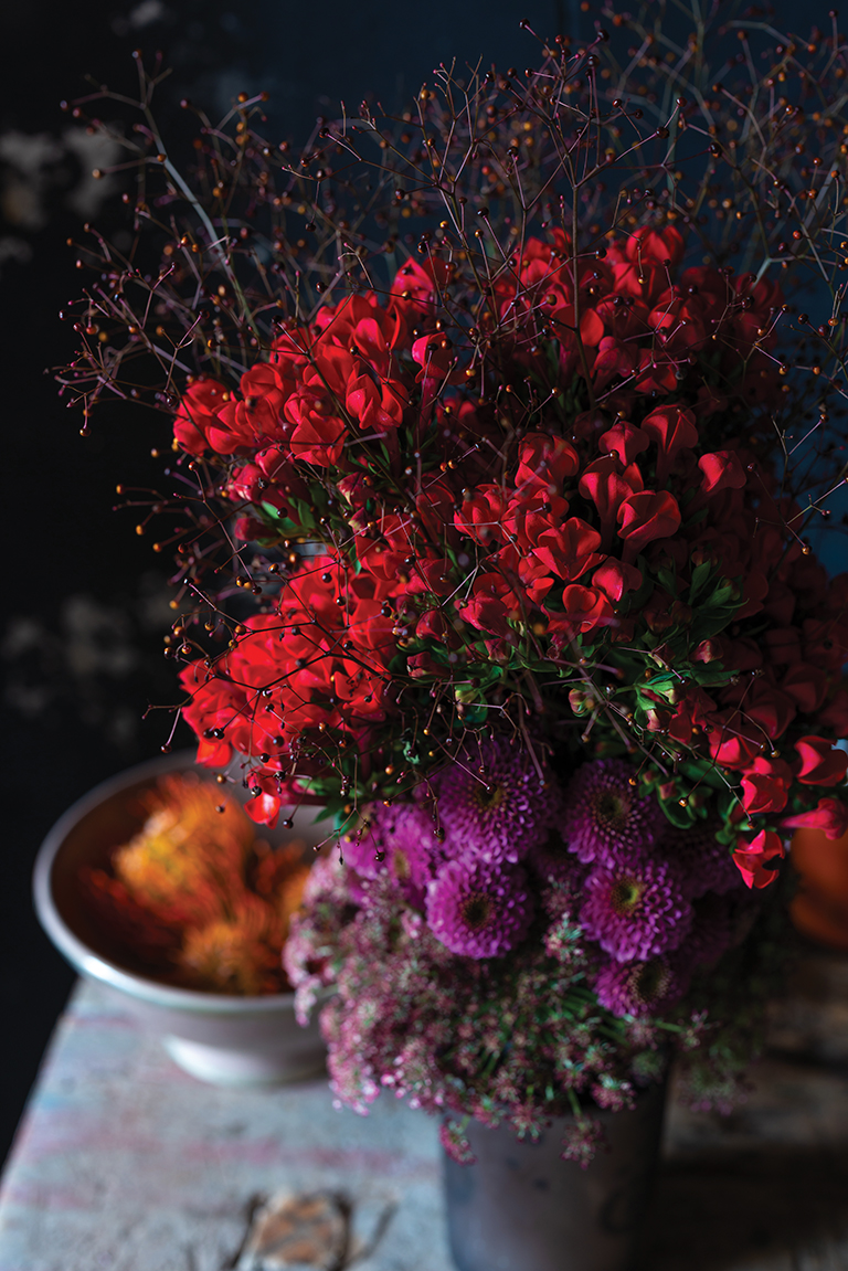 Bouvardia Autumn Glow Bouvardia Autumn Glow
